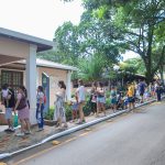 Espetáculo teatral “O Rei Leão”